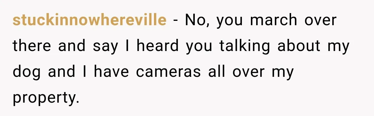 stuckinnowhereville − No, you march over there and say I heard you talking about my dog and I have cameras all over my property.