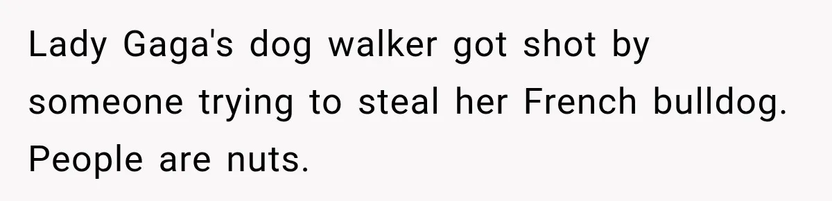 Lady Gaga's dog walker got shot by someone trying to steal her French bulldog. People are nuts.