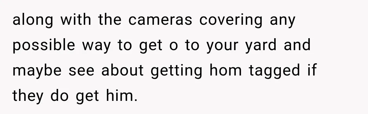 along with the cameras covering any possible way to get o to your yard and maybe see about getting hom tagged if they do get him.