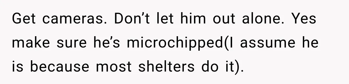 Get cameras. Don’t let him out alone. Yes make sure he’s microchipped(I assume he is because most shelters do it).
