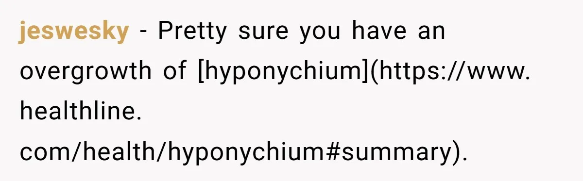 jeswesky − Pretty sure you have an overgrowth of [hyponychium](https://www. healthline. com/health/hyponychium#summary).