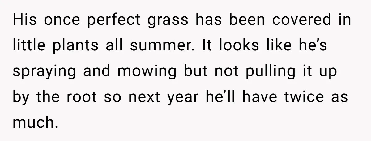 He Was Tired of His Neighbor Speeding Through the Neighborhood, So He Started Planting a Very Petty Problem in His Yard His once perfect grass has been covered in little plants all summer. It looks like he’s spraying and mowing but not pulling it up by the root so next year...
