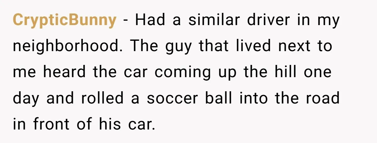 He Was Tired of His Neighbor Speeding Through the Neighborhood, So He Started Planting a Very Petty Problem in His Yard CrypticBunny − Had a similar driver in my neighborhood. The guy that lived next to me heard the car coming up the hill one day and rolled a soccer ball...