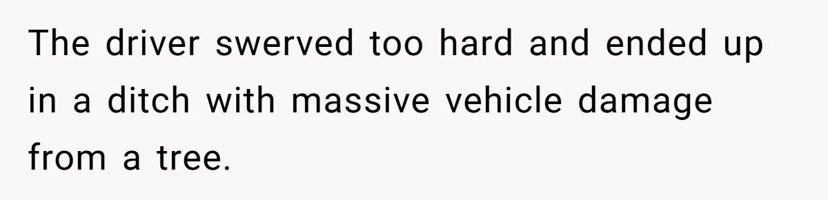 He Was Tired of His Neighbor Speeding Through the Neighborhood, So He Started Planting a Very Petty Problem in His Yard The driver swerved too hard and ended up in a ditch with massive vehicle damage from a tree.