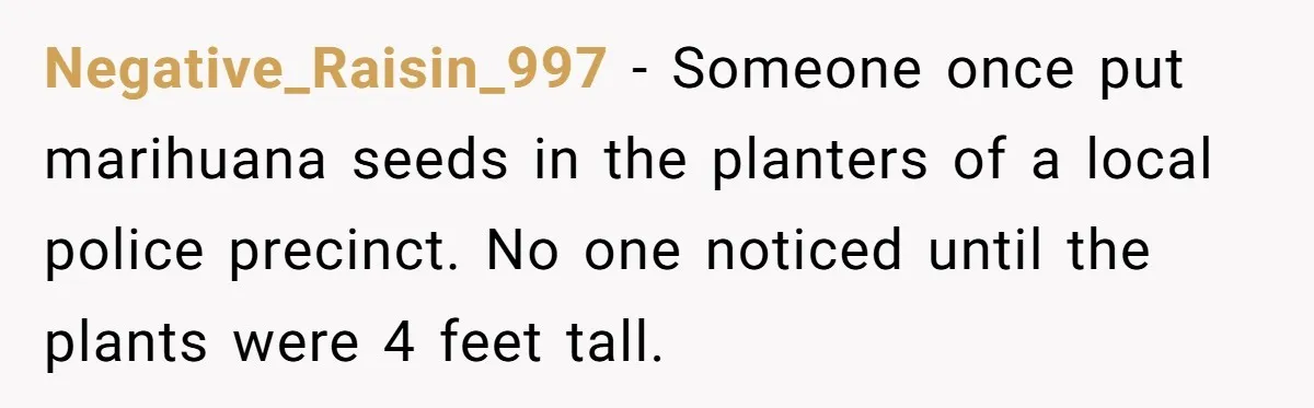 He Was Tired of His Neighbor Speeding Through the Neighborhood, So He Started Planting a Very Petty Problem in His Yard Negative_Raisin_997 − Someone once put marihuana seeds in the planters of a local police precinct. No one noticed until the plants were 4 feet tall.