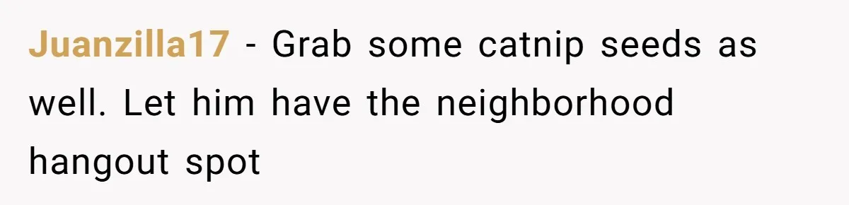 He Was Tired of His Neighbor Speeding Through the Neighborhood, So He Started Planting a Very Petty Problem in His Yard Juanzilla17 − Grab some catnip seeds as well. Let him have the neighborhood hangout spot