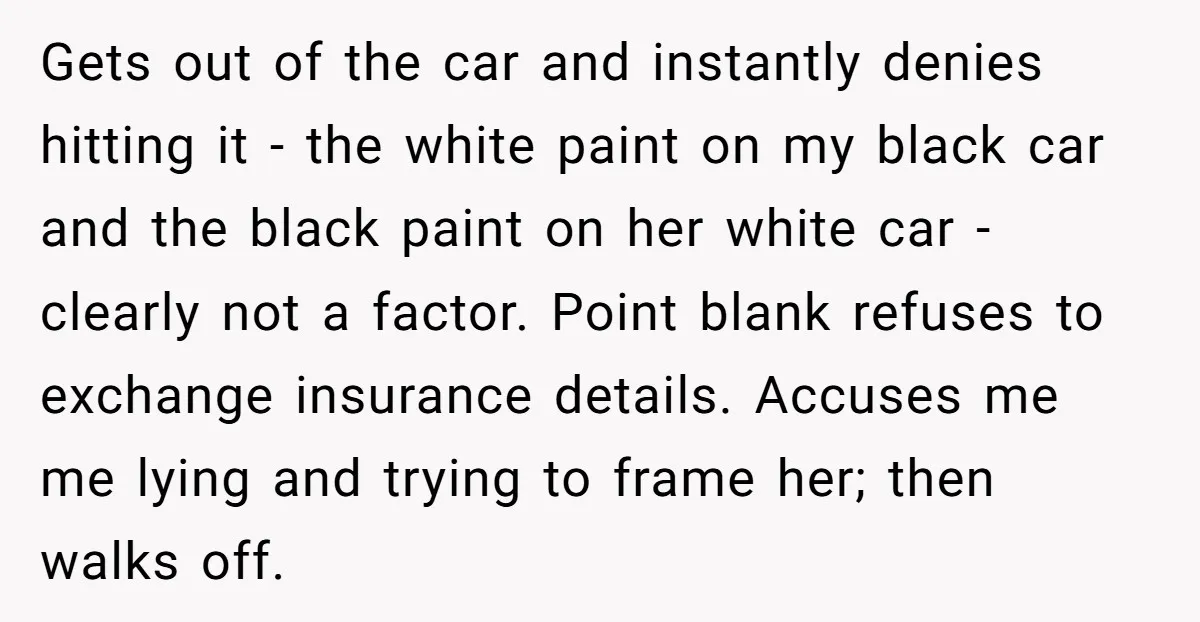 She Tried to Avoid the Police Over a Minor Parking Accident, Then Learned the Other Driver Had Made It a Legal Problem Gets out of the car and instantly denies hitting it - the white paint on my black car and the black paint on her white car - clearly not a...
