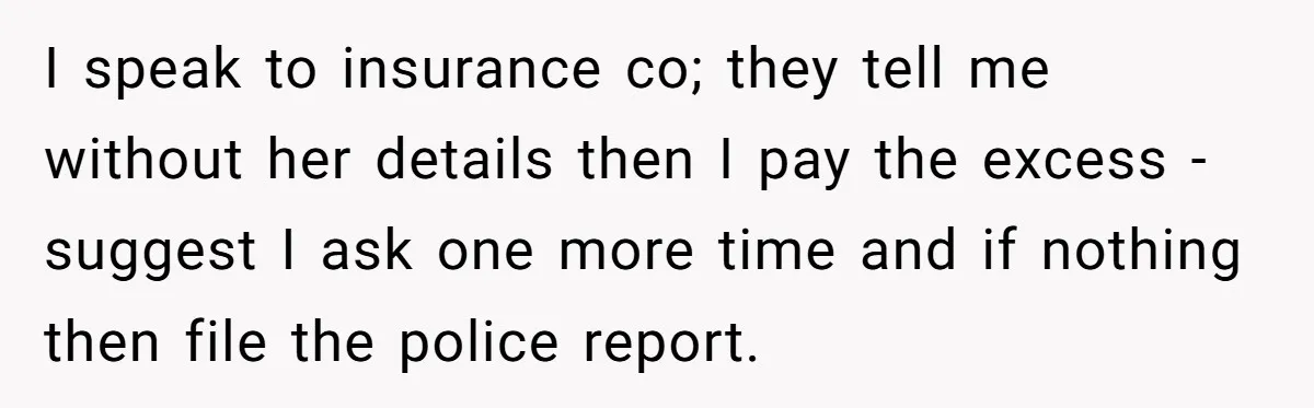 She Tried to Avoid the Police Over a Minor Parking Accident, Then Learned the Other Driver Had Made It a Legal Problem I speak to insurance co; they tell me without her details then I pay the excess - suggest I ask one more time and if nothing then file the police...