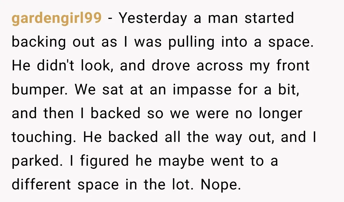 She Tried to Avoid the Police Over a Minor Parking Accident, Then Learned the Other Driver Had Made It a Legal Problem gardengirl99 − Yesterday a man started backing out as I was pulling into a space. He didn't look, and drove across my front bumper. We sat at an impasse for...