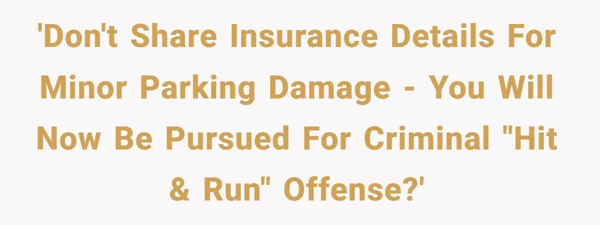 She Tried to Avoid the Police Over a Minor Parking Accident, Then Learned the Other Driver Had Made It a Legal Problem 'Don't share insurance details for minor parking damage - you will now be pursued for criminal "hit & run" offense?'