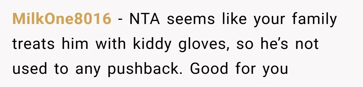 MilkOne8016 − NTA seems like your family treats him with kiddy gloves, so he’s not used to any pushback. Good for you