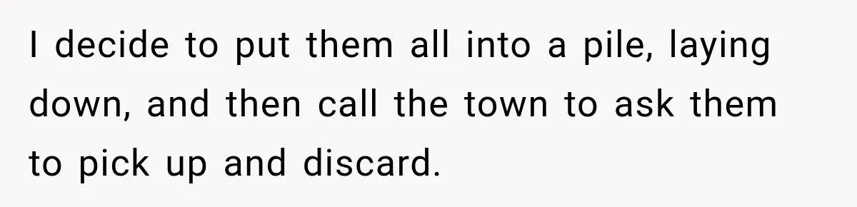I decide to put them all into a pile, laying down, and then call the town to ask them to pick up and discard.