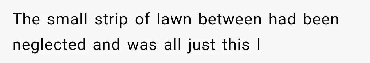 The small strip of lawn between had been neglected and was all just this l