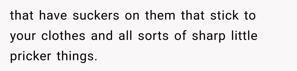 that have suckers on them that stick to your clothes and all sorts of sharp little pricker things.