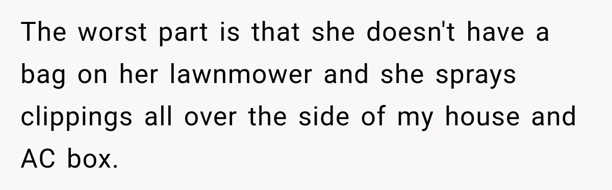 The worst part is that she doesn't have a bag on her lawnmower and she sprays clippings all over the side of my house and AC box.
