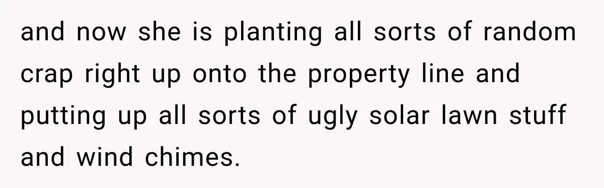 and now she is planting all sorts of random crap right up onto the property line and putting up all sorts of ugly solar lawn stuff and wind chimes.