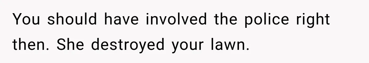 You should have involved the police right then. She destroyed your lawn.