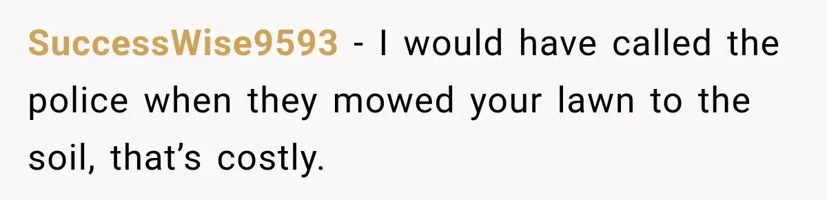 SuccessWise9593 − I would have called the police when they mowed your lawn to the soil, that’s costly.