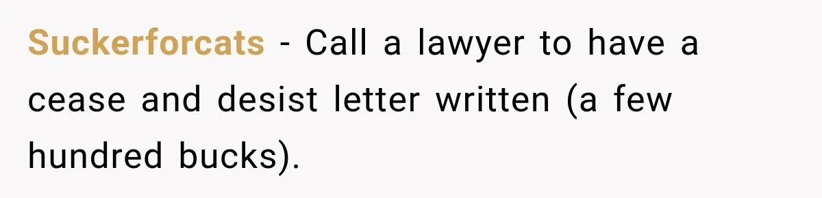 Suckerforcats − Call a lawyer to have a cease and desist letter written (a few hundred bucks).