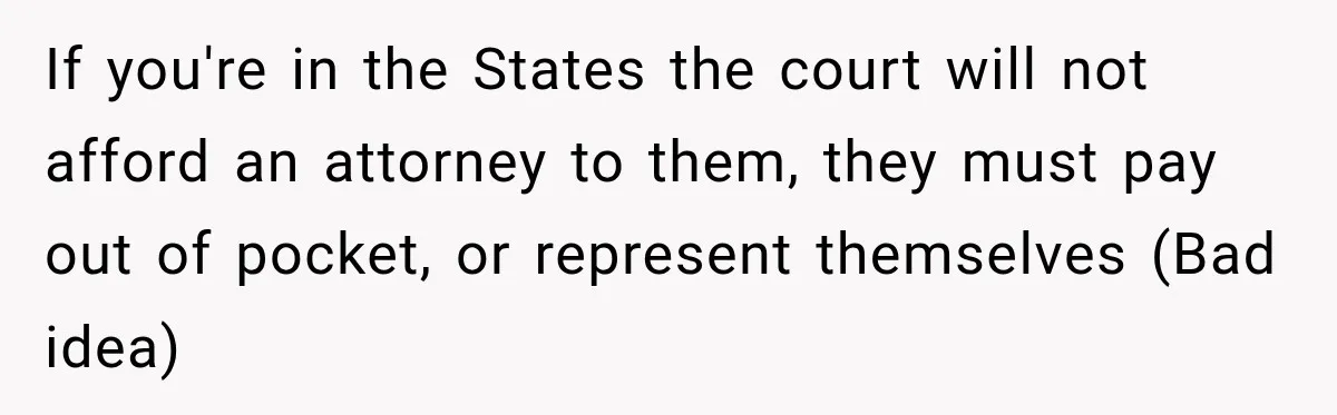 If you're in the States the court will not afford an attorney to them, they must pay out of pocket, or represent themselves (Bad idea)