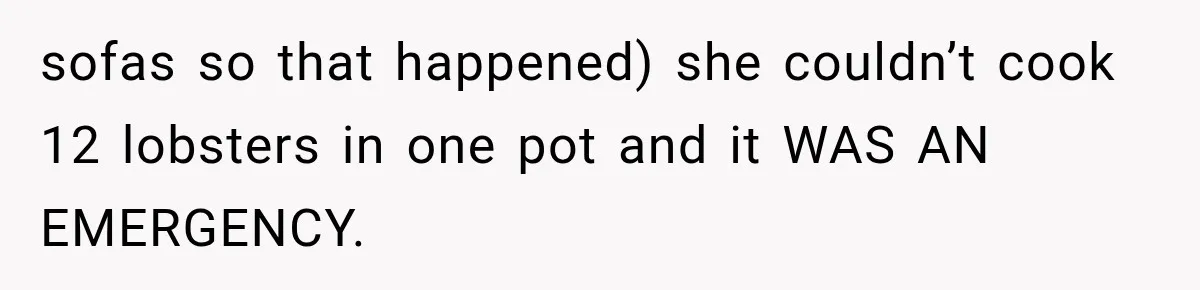 sofas so that happened) she couldn’t cook 12 lobsters in one pot and it WAS AN EMERGENCY.