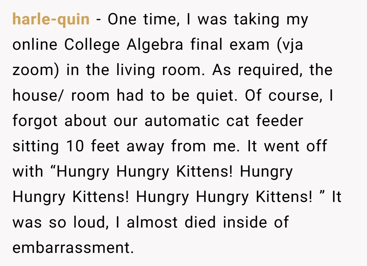 He Gave His New Neighbor a Cat Feeder, Then She Thought Someone Was Breaking Into Her Apartment Every Morning harle-quin − One time, I was taking my online College Algebra final exam (vja zoom) in the living room. As required, the house/ room had to be quiet. Of course,...