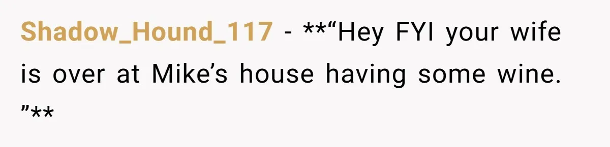 He Meant to Text the Right Dave, but Accidentally Sent Another Man Into a Marriage Panic Shadow_Hound_117 − **“Hey FYI your wife is over at Mike’s house having some wine. ”**
