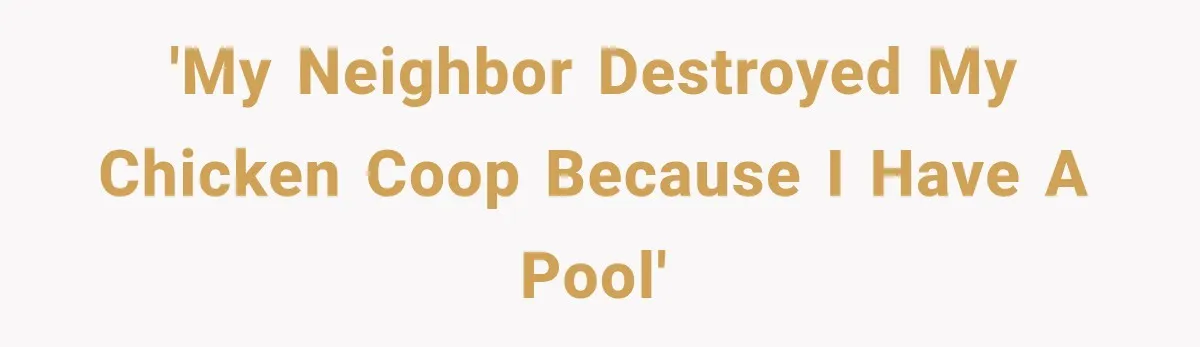 Man Finds His Chicken Coop Destroyed, Then Checks the Camera and Recognizes His Neighbor 'My neighbor destroyed my chicken coop because I have a pool'