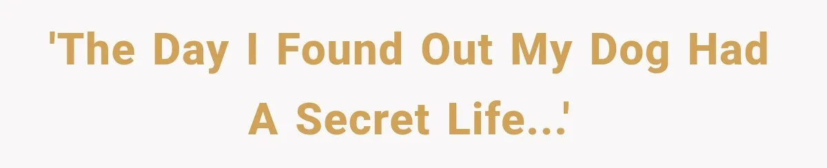 'The Day I Found Out My Dog Had a Secret Life...'