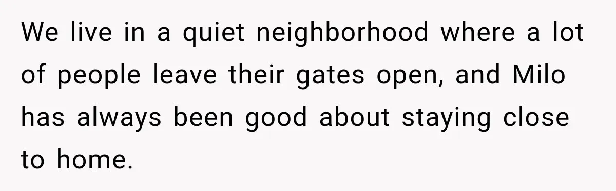 We live in a quiet neighborhood where a lot of people leave their gates open, and Milo has always been good about staying close to home.