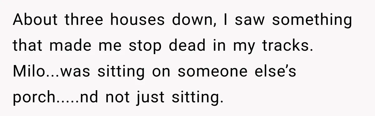 About three houses down, I saw something that made me stop dead in my tracks. ​Milo...was sitting on someone else’s porch.....nd not just sitting.