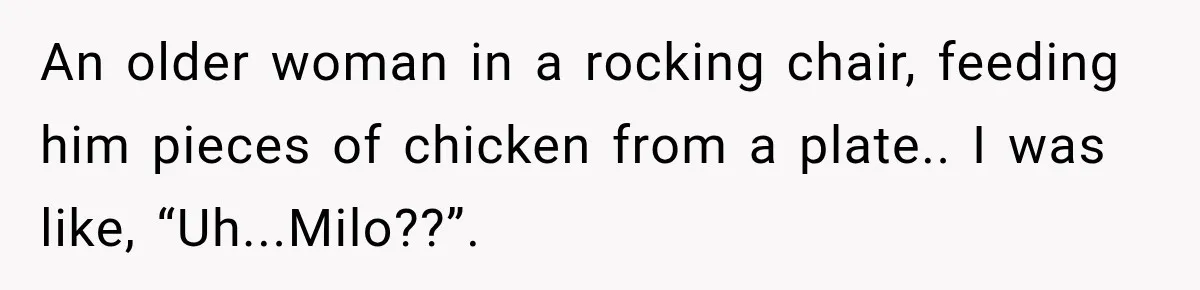 An older woman in a rocking chair, feeding him pieces of chicken from a plate.. I was like, “Uh...Milo??”.