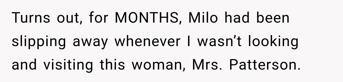 Turns out, for MONTHS, Milo had been slipping away whenever I wasn’t looking and visiting this woman, Mrs. Patterson.