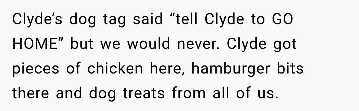 Clyde’s dog tag said “tell Clyde to GO HOME” but we would never. Clyde got pieces of chicken here, hamburger bits there and dog treats from all of us.