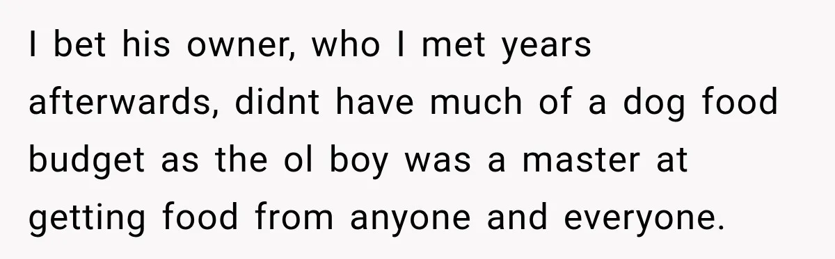 I bet his owner, who I met years afterwards, didnt have much of a dog food budget as the ol boy was a master at getting food from anyone and...