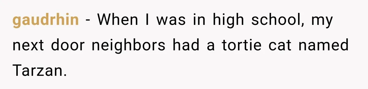 gaudrhin − When I was in high school, my next door neighbors had a tortie cat named Tarzan.