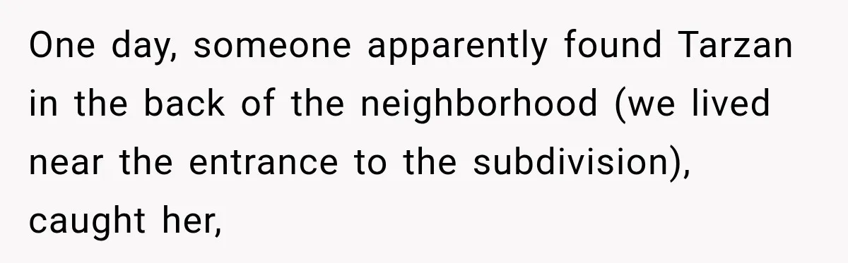 One day, someone apparently found Tarzan in the back of the neighborhood (we lived near the entrance to the subdivision), caught her,