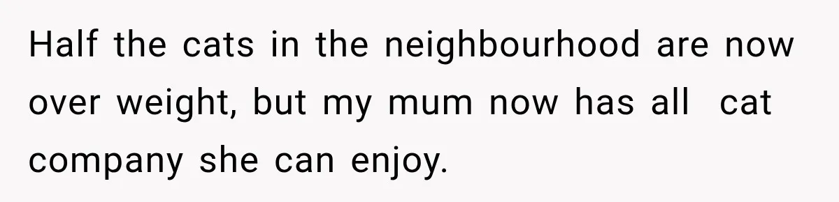 Half the cats in the neighbourhood are now over weight, but my mum now has all  cat company she can enjoy.