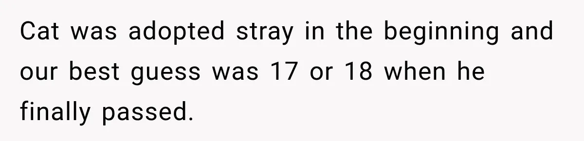 Cat was adopted stray in the beginning and our best guess was 17 or 18 when he finally passed.