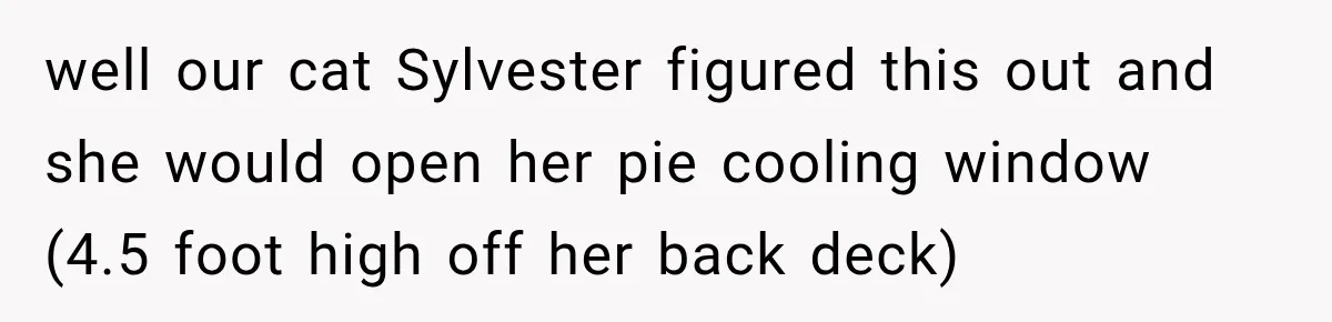 well our cat Sylvester figured this out and she would open her pie cooling window (4.5 foot high off her back deck)
