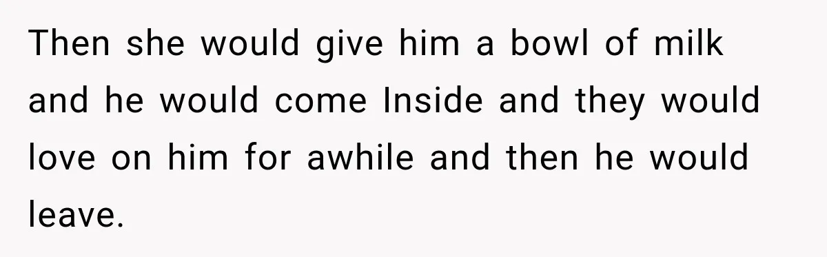 Then she would give him a bowl of milk and he would come Inside and they would love on him for awhile and then he would leave.