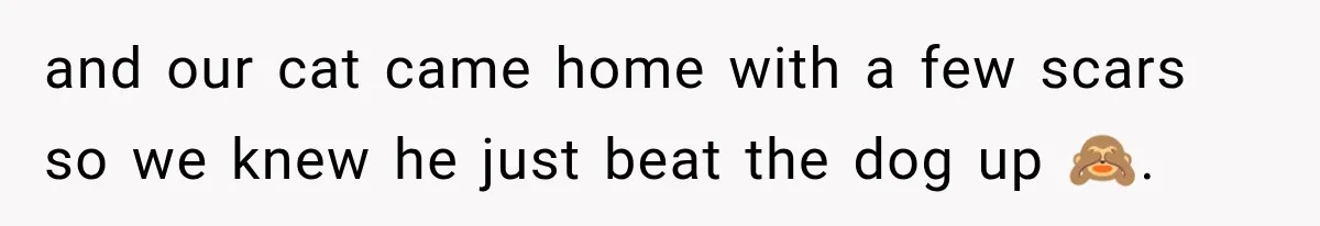 and our cat came home with a few scars so we knew he just beat the dog up 🙈.