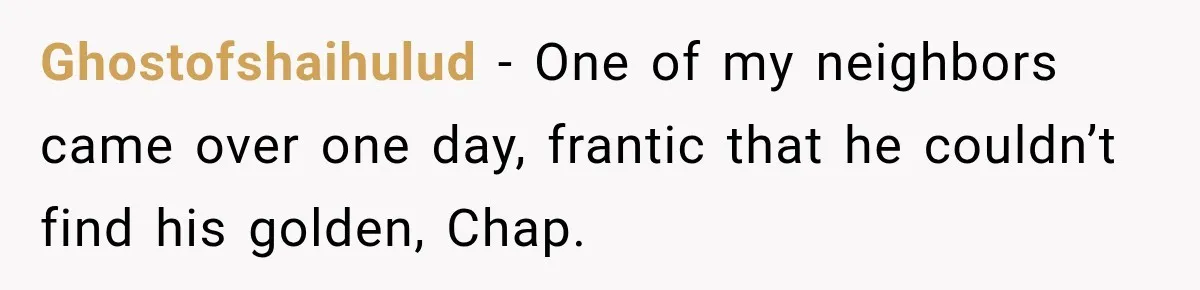 Ghostofshaihulud − One of my neighbors came over one day, frantic that he couldn’t find his golden, Chap.