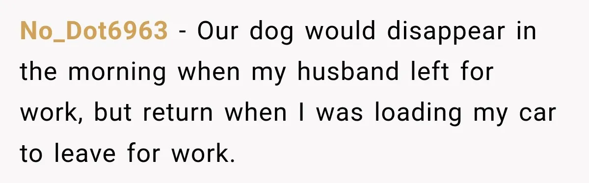 No_Dot6963 − Our dog would disappear in the morning when my husband left for work, but return when I was loading my car to leave for work.