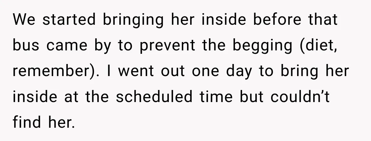 We started bringing her inside before that bus came by to prevent the begging (diet, remember). I went out one day to bring her inside at the scheduled time but...