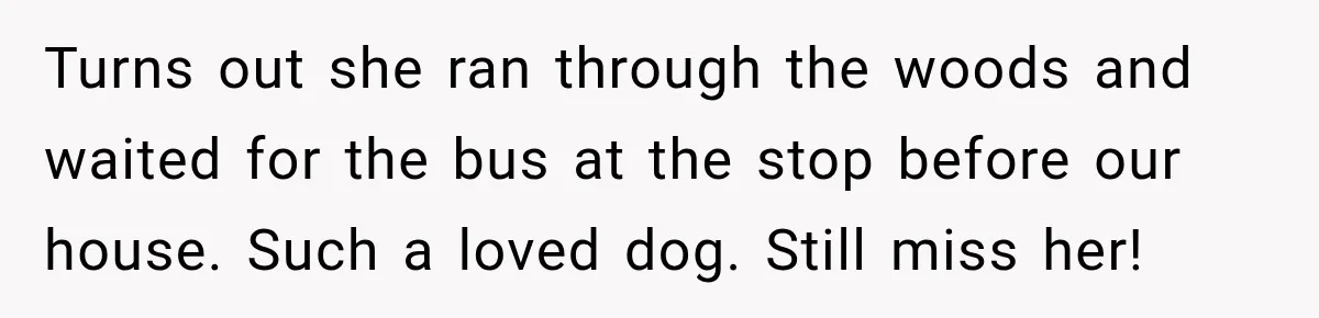 Turns out she ran through the woods and waited for the bus at the stop before our house. Such a loved dog. Still miss her!