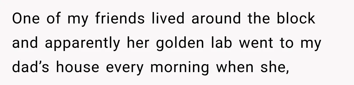 One of my friends lived around the block and apparently her golden lab went to my dad’s house every morning when she,