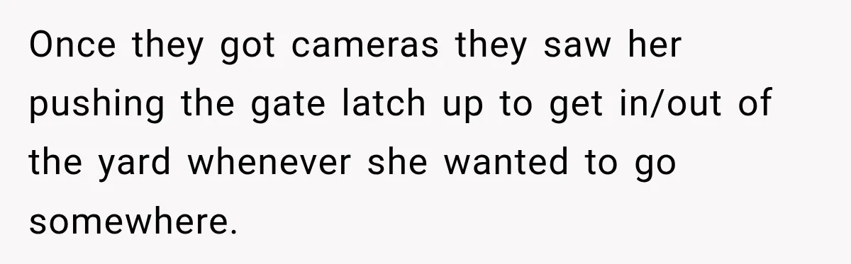 Once they got cameras they saw her pushing the gate latch up to get in/out of the yard whenever she wanted to go somewhere.