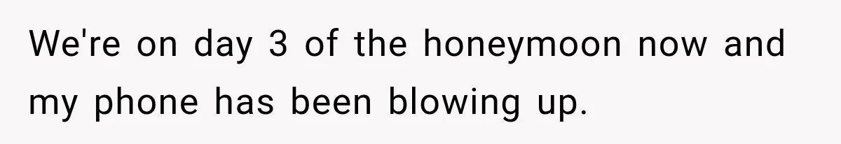 Stepmom Humiliates Groom At His Wedding, Then Loses Access To The Money She Loved We're on day 3 of the honeymoon now and my phone has been blowing up.