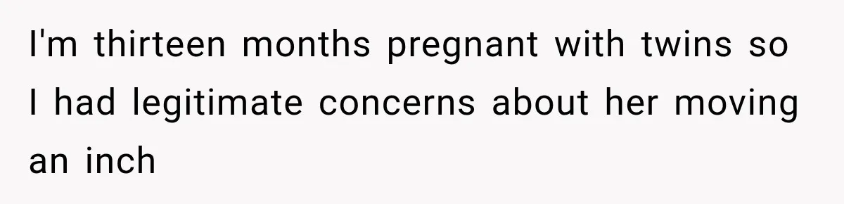 Woman Refuses to Sit Beside a Skinny Passenger, but Her Reasoning Gets More Absurd by the Sentence I'm thirteen months pregnant with twins so I had legitimate concerns about her moving an inch